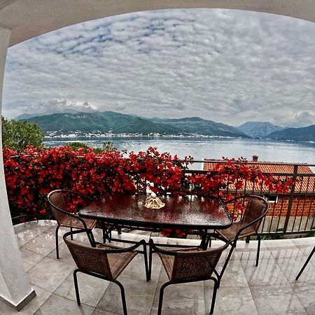 Apartments Obradovic Krasići Exterior foto