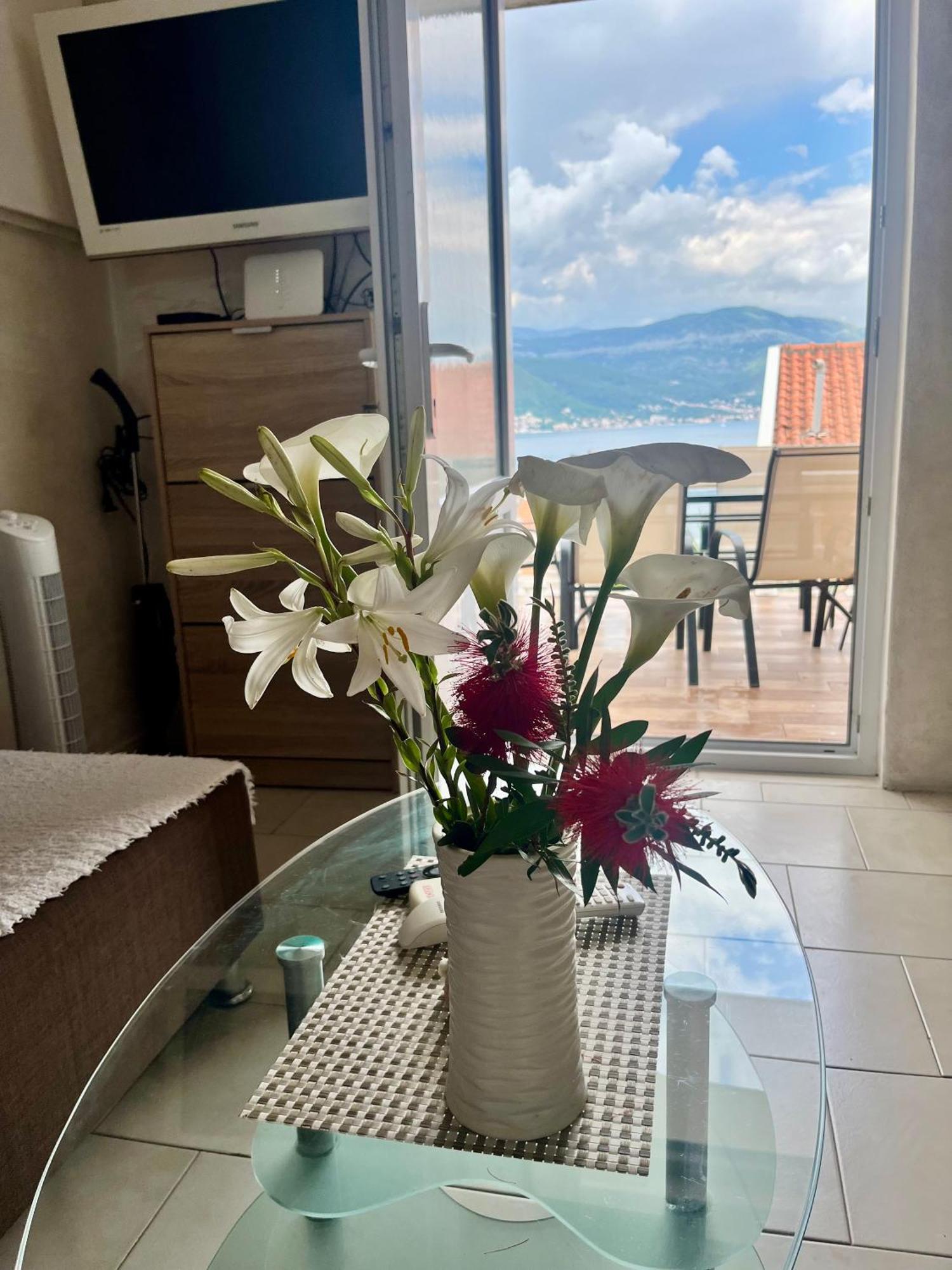 Apartments Obradovic Krasići Cameră foto